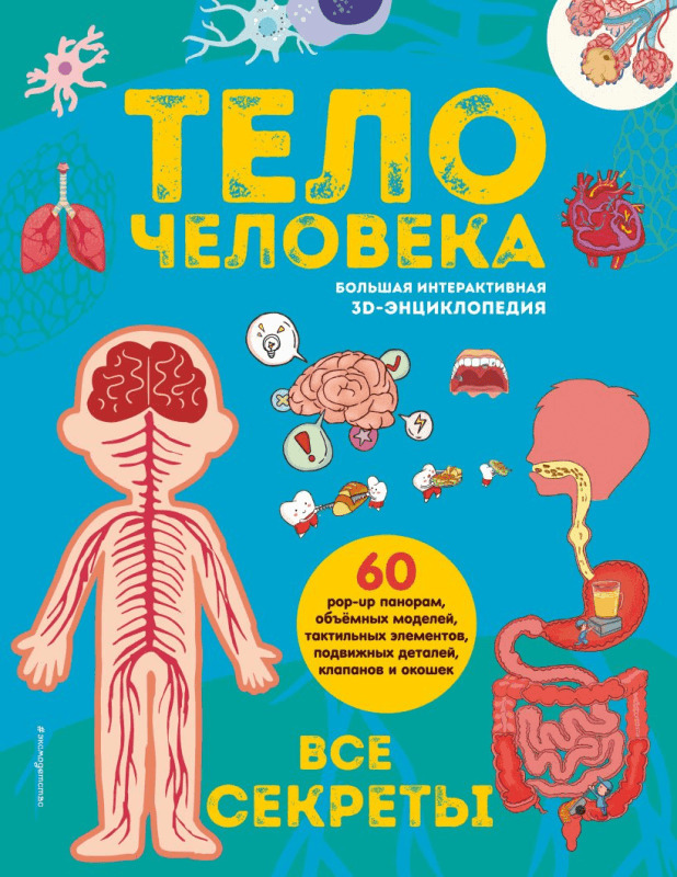 Тело человека. Все секреты